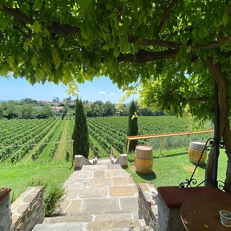 Corno di Rosazzo Villa Butussi - L'Ospitalita Del Vino المظهر الخارجي الصورة