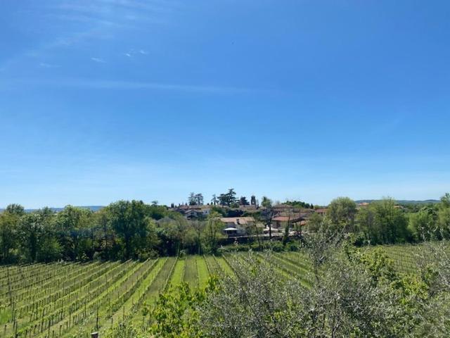 Corno di Rosazzo Villa Butussi - L'Ospitalita Del Vino المظهر الخارجي الصورة