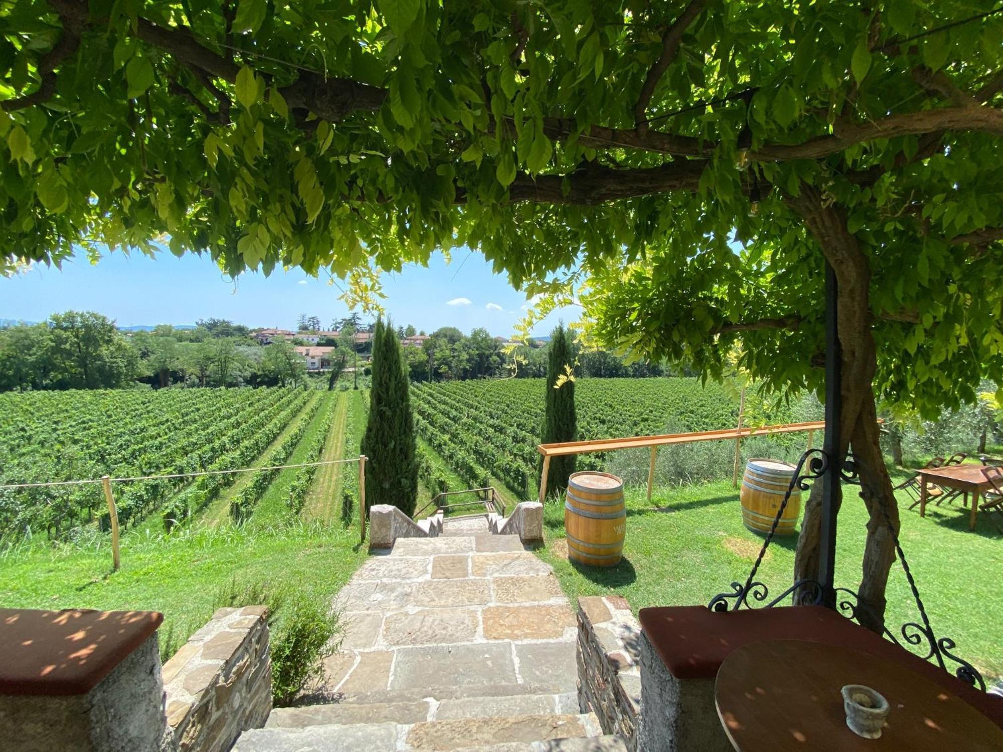 Corno di Rosazzo Villa Butussi - L'Ospitalita Del Vino المظهر الخارجي الصورة