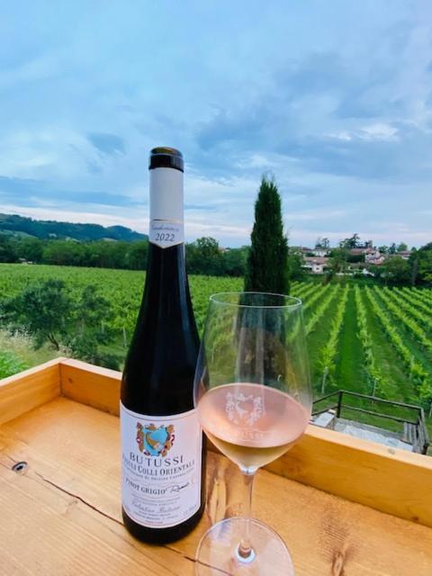 Corno di Rosazzo Villa Butussi - L'Ospitalita Del Vino المظهر الخارجي الصورة