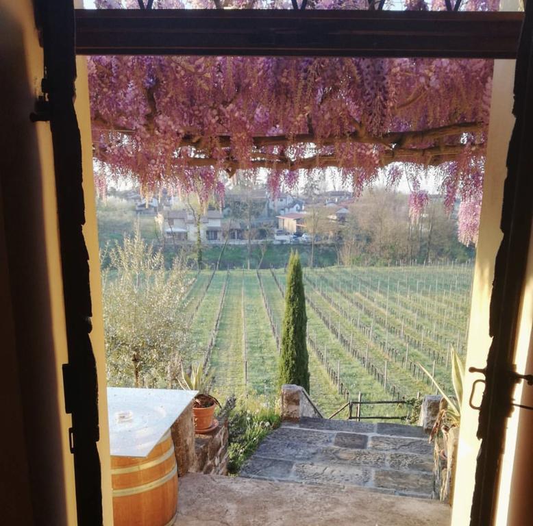 Corno di Rosazzo Villa Butussi - L'Ospitalita Del Vino المظهر الخارجي الصورة